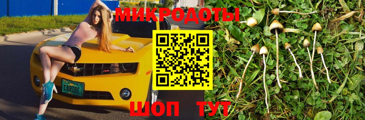Вязники  Псилоцибиновые грибы мицелий  Псилоцибиновые грибы прущие грибы  Вход с VPN 
